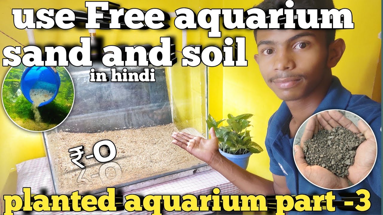 Use free aquarium sand and soil in hindi Free sand and soil