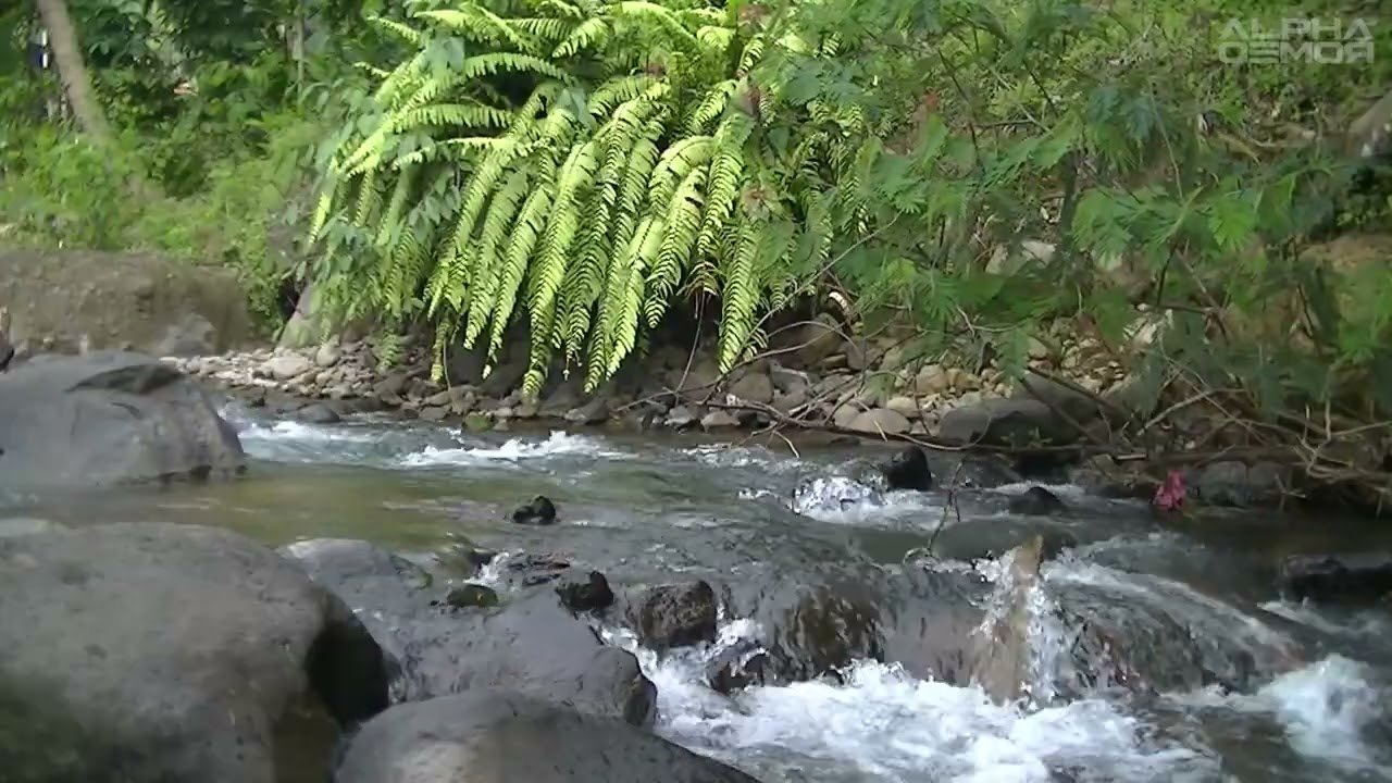 LAGU SUNDA | POP SUNDA