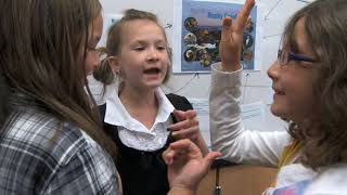 Differentiated Instruction Profile