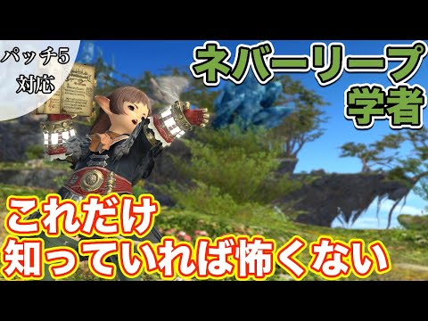 【FF14】ネバーリープに学者(ヒーラー)で挑戦【これだけ知っていれば怖くないヒーラー編 2021年版】