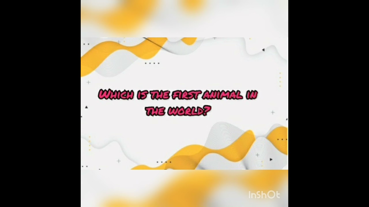 Which Is The First Animal On Earth Part 1 Please Like Share Comment which-is-the-first-animal-on-earth-part-1-please-like-share-comment