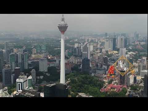 己亥猪年棕油前景好  物流旅游业或具挑战