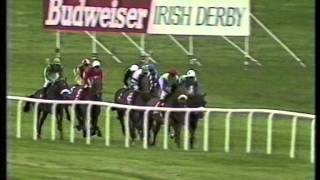 1987 Budweiser Irish Derby