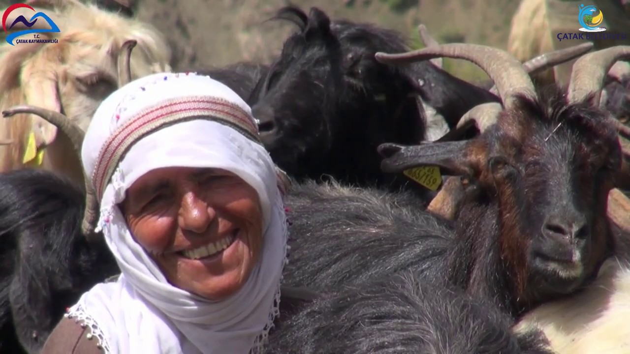 Van'ın Çatak İlçesi Tanıtım Filmi
