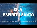 😍El Mejor Tour de 8 Horas a ISLA ESPIRITU SANTO (Precios e Información) IES TRAVEL La Paz B.C.Sur MX