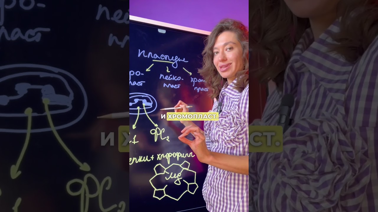 Не путай пластиды и пигменты! 