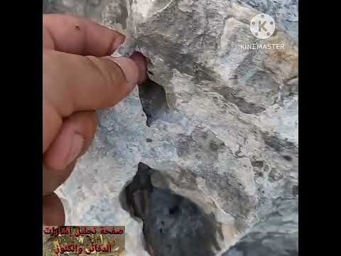 إشارة الوجه مع ثلاث مرابط