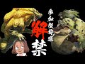 参加型モンハンライズその1