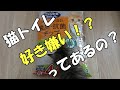 猫トイレ問題、トイレ以外でおしっこするのは、砂の感触がイヤ？