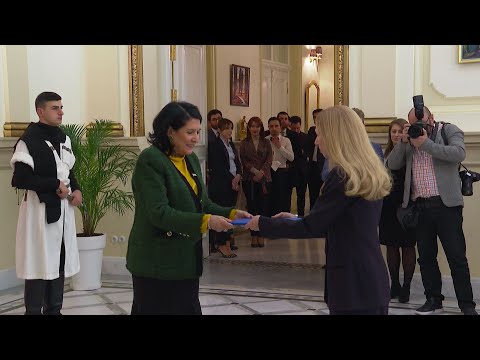 აშშ-ის ელჩმა, საქართველოს პრეზიდენტსა და საგარეო საქმეთა მინისტრს,რწმუნებათა სიგელი წარუდგინა