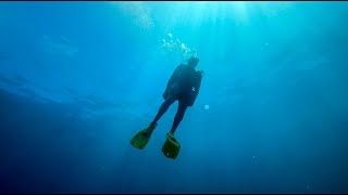 The best diving in Mexico?- Marietas Islands