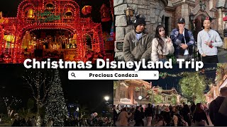 disneyland christmas vlog