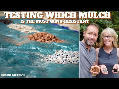 Video: Mulchen op winderige plekken - Hoe kies je een windbestendige mulch?