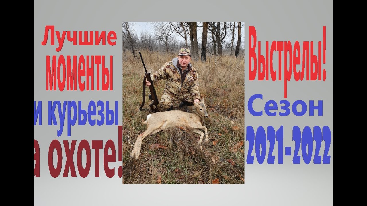 открытие осенней охоты 2020 в оренбургской области. охота 2021 2022. охотничье законодательство. охота на копытных животных. охота 2021 2022.