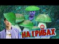 На грибах. Бампер і Сус