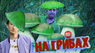 На грибах. Бампер і Сус