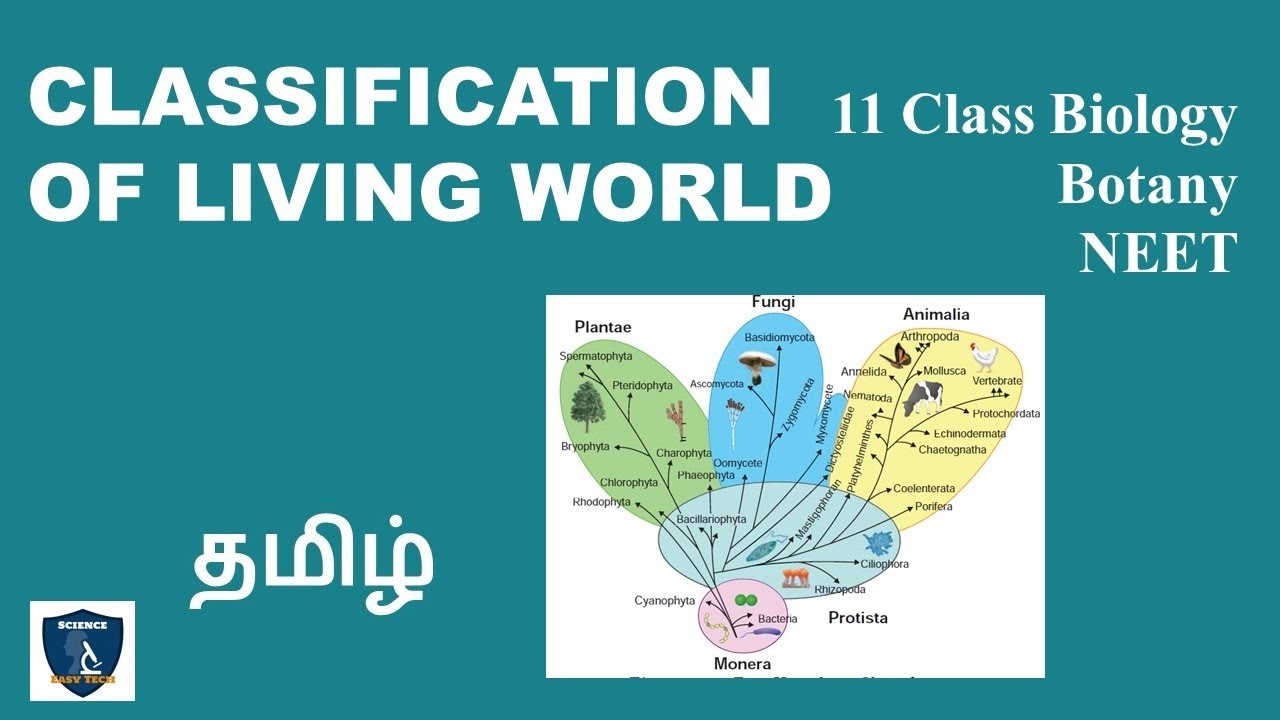 phylogenetic meaning in tamil
