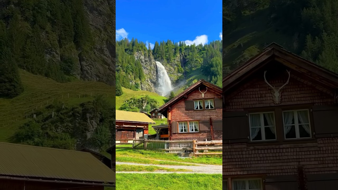 Embrace peace with nature's charm and gentle tunes🌿🎶 