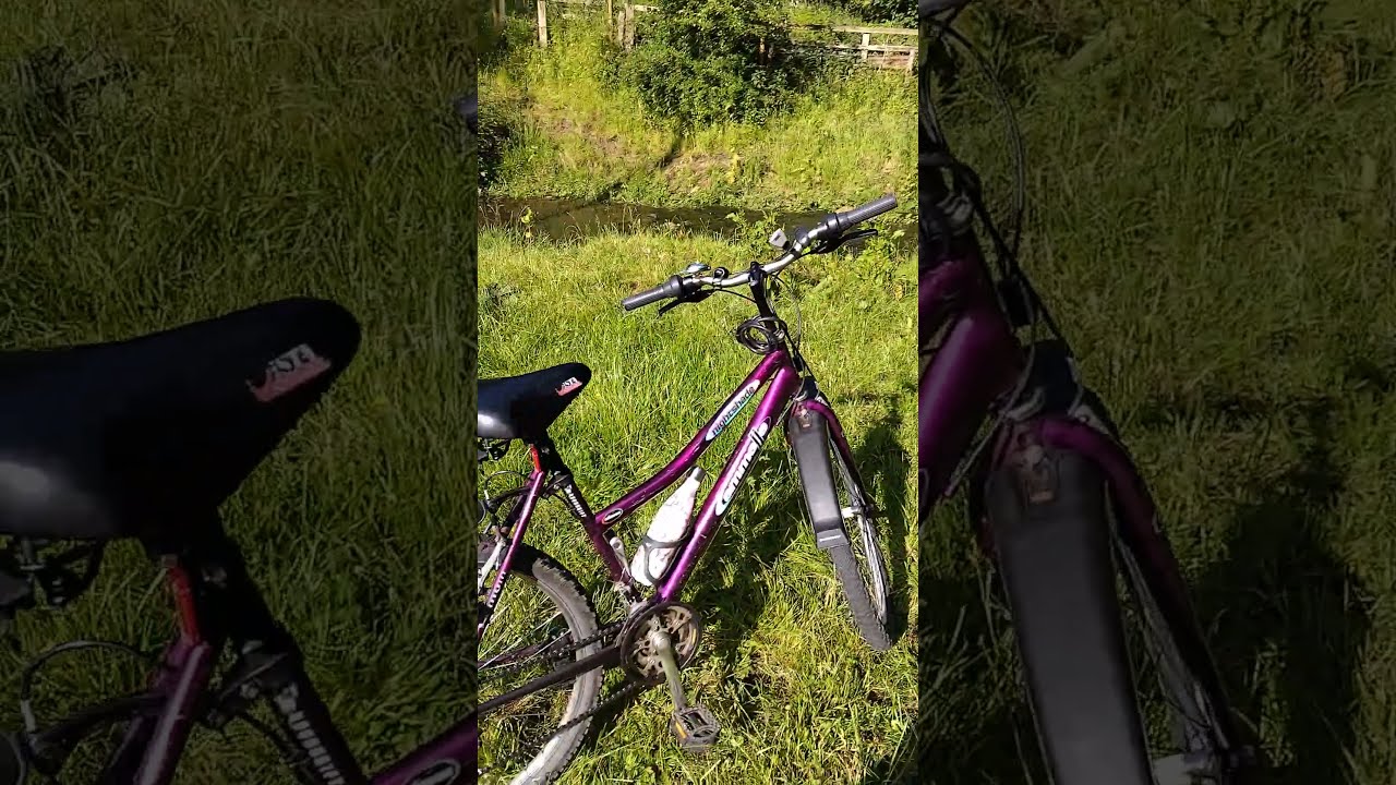 Beautiful Bike ride by the stream June 2024. English Countryside.