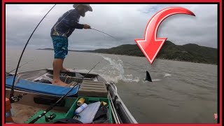 BIG SHARK!!! FISHING NORTH QUEENSLAND TROPICAL ISLAND AUSTRALIA - OYSTERS and SHARKS EVERYWHERE!!!