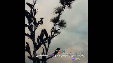 يوم الجمعة🍂|🤲|حالات واتس اب تلاوات اسلام صبحي خاشعة🍃ستوريات جمعة🥀دعاء🍂🌸