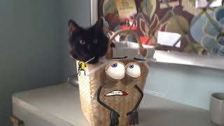 Secret Life Of Things - Real Life Doodles Compilation 3D Doodland