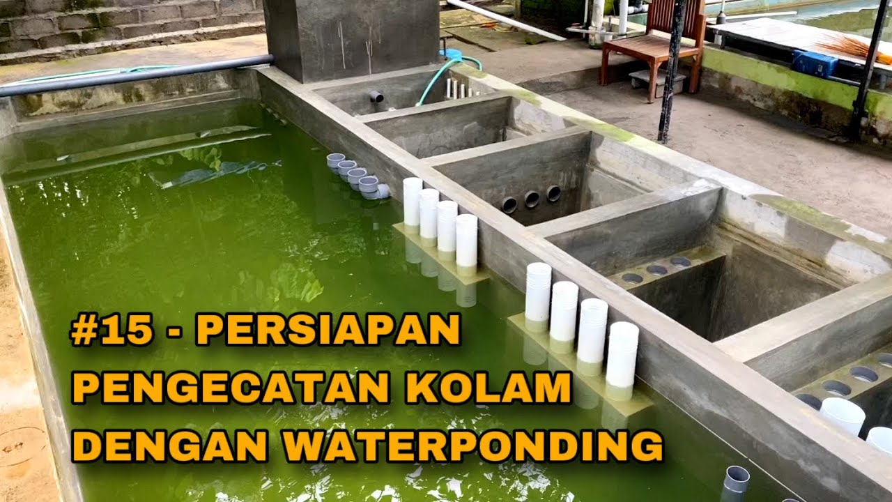 Tes Rendam #15 - SETELAH TES RENDAM KOLAM 5 HARI LANJUT KURAS LAGI UNTUK ...