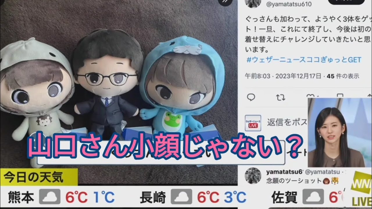 ぬい活リポートで山口さんが小さく見える【大島璃音】