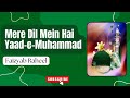 Mere dil mein hai yaademuhammad  faizyab raheel  ishqerasool  virsa heritage revived