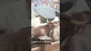 Encierro en tafalla(navarra) fiestas agosto 2019.