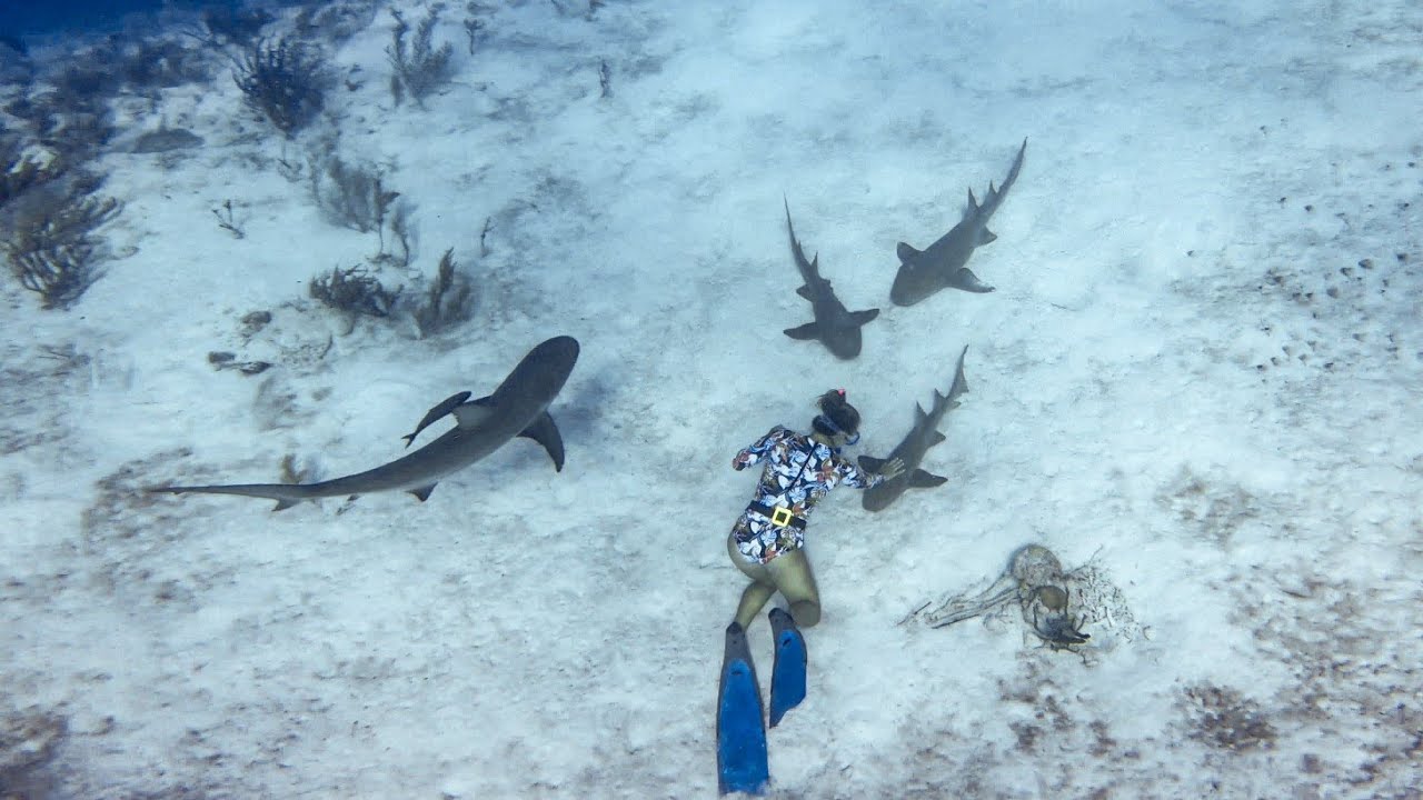 15yo Girl Freedives 50′ with Sharks!!!