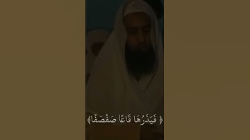 القارئ احمد حمادي تلاوة. خاشعة #اكسبلور #تلاوة_خاشعة #المصحف #لايك #قران_كريم #ترند