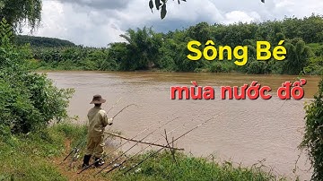 Nay Ra Sông Câu Cá Mùa Nước Đổ Và Cái Kết
