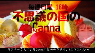 不思議の国のCanna２月１３日（日）放送分　【舞台】【演劇】