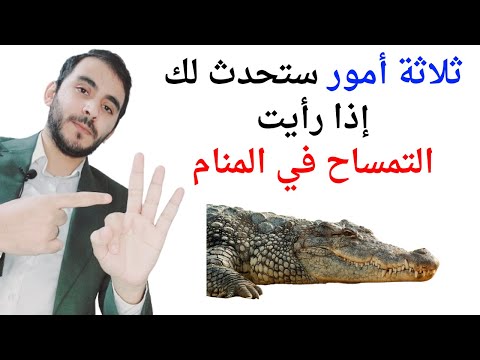 ثلاثة أمور ستحدث لك عند رؤية التمساح في المنام  تفسير حلم رؤيا المتساح والتماسيح في المنام