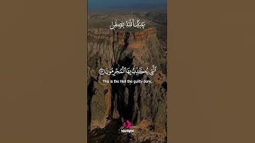 ✨ «تلاوة من القلب إلى القلب … بصوت عبدالله بصفر الذي يهمس بروحك»