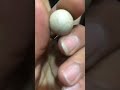 احجار كريمة احجار كريمة