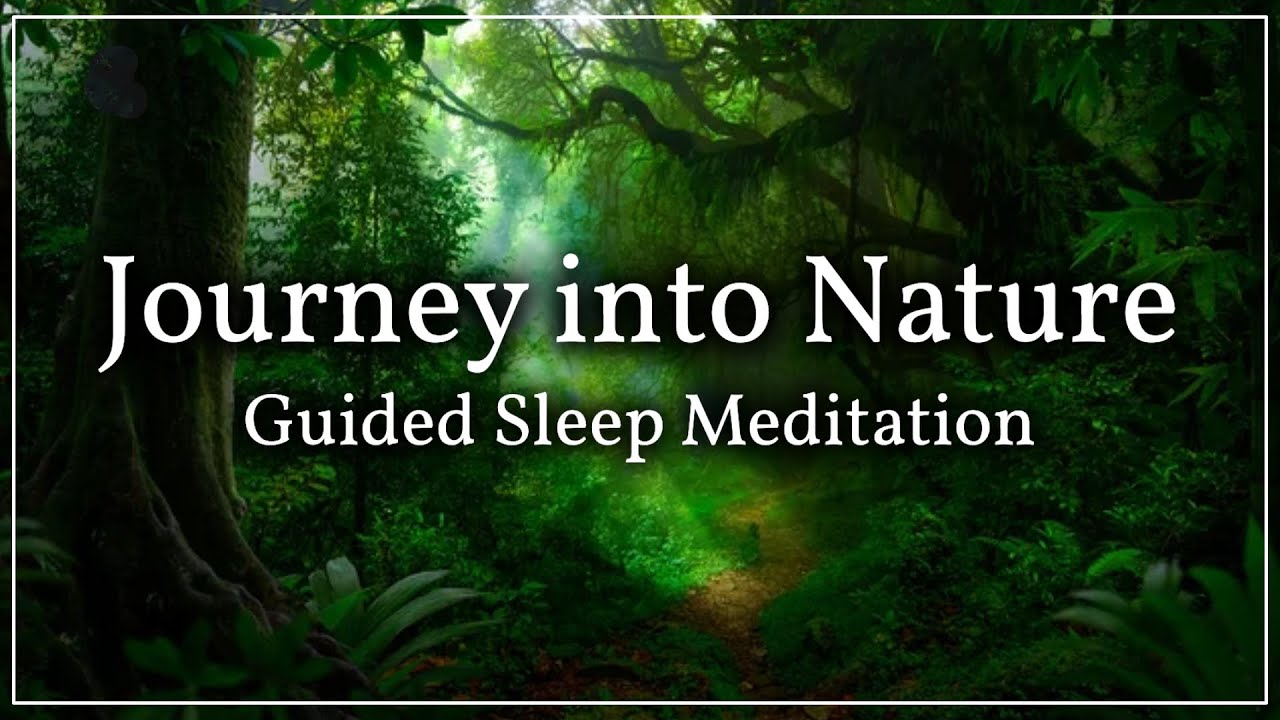 A Guided Sleep Visualization Exercise: The Magical Forest Walk