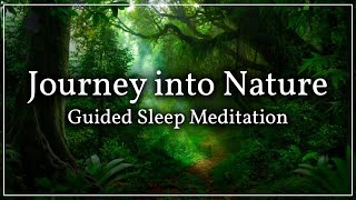 A Guided Sleep Visualization Exercise: The Magical Forest Walk