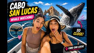 WE SAW WHALES THIS CLOSE in Cabo… Then Tried Weird Mexican Snacks! 🐋🇲🇽