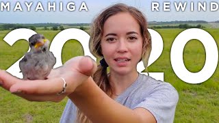 MayaHiga Rewind 2020