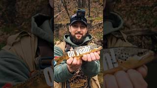 Trout fishing the Driftless Region in Iowa