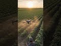 Spraying the farm with drone to reduce some stress #ai #hamster #robotpet #airbot #roboticdog