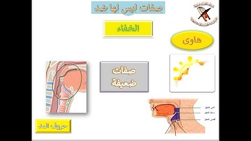 تعلم قراءة القرآن وقواعد التجويد - صفات الحروف - صفة الخفاء