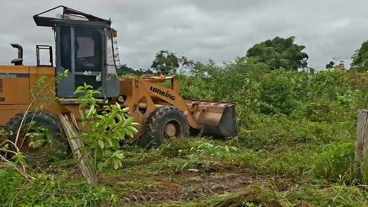 Limpeza de pasto a todo vapor. 