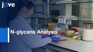 N-glycans Analysis from Cultivars by PNGase H+ | Protocol Preview