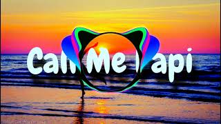 Feder \u0026 Ofenbach feat. Dawty Music - Call Me Papi (Ali Bakgor Remix)