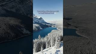 This is why November is Banff National Park’s best kept secret - #shorts
You only have a short window of time to enjoy this recent dusting of snow with bluebird days!
November is the best time of year to see Banff National Park put on its winter coat and bask in the sun before the lakes freeze over for the season.
#MyBanff #banffnationalpark #shorts This is why November is Banff National Park’s best kept secret - #shorts