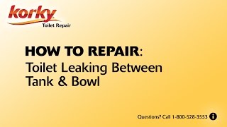 Fix Your Leaking Toilet Tank | Toilet Leaking From Tank ...