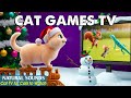 Interactive CAT TV - Cat Games That Awaken Your Curious Cat’s Inner Hunter 😸 Video for Cats to Watch